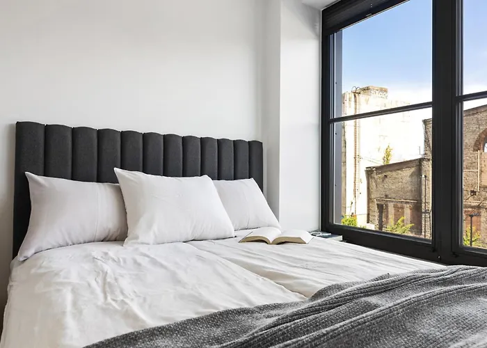 Stylish Volta Quarter With Ac